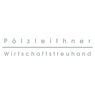 Logo von Pölzleithner Wirtschaftstreuhand in grauer Schrift, elegant und klar, mit einer horizontalen Linie zwischen den beiden Namen.